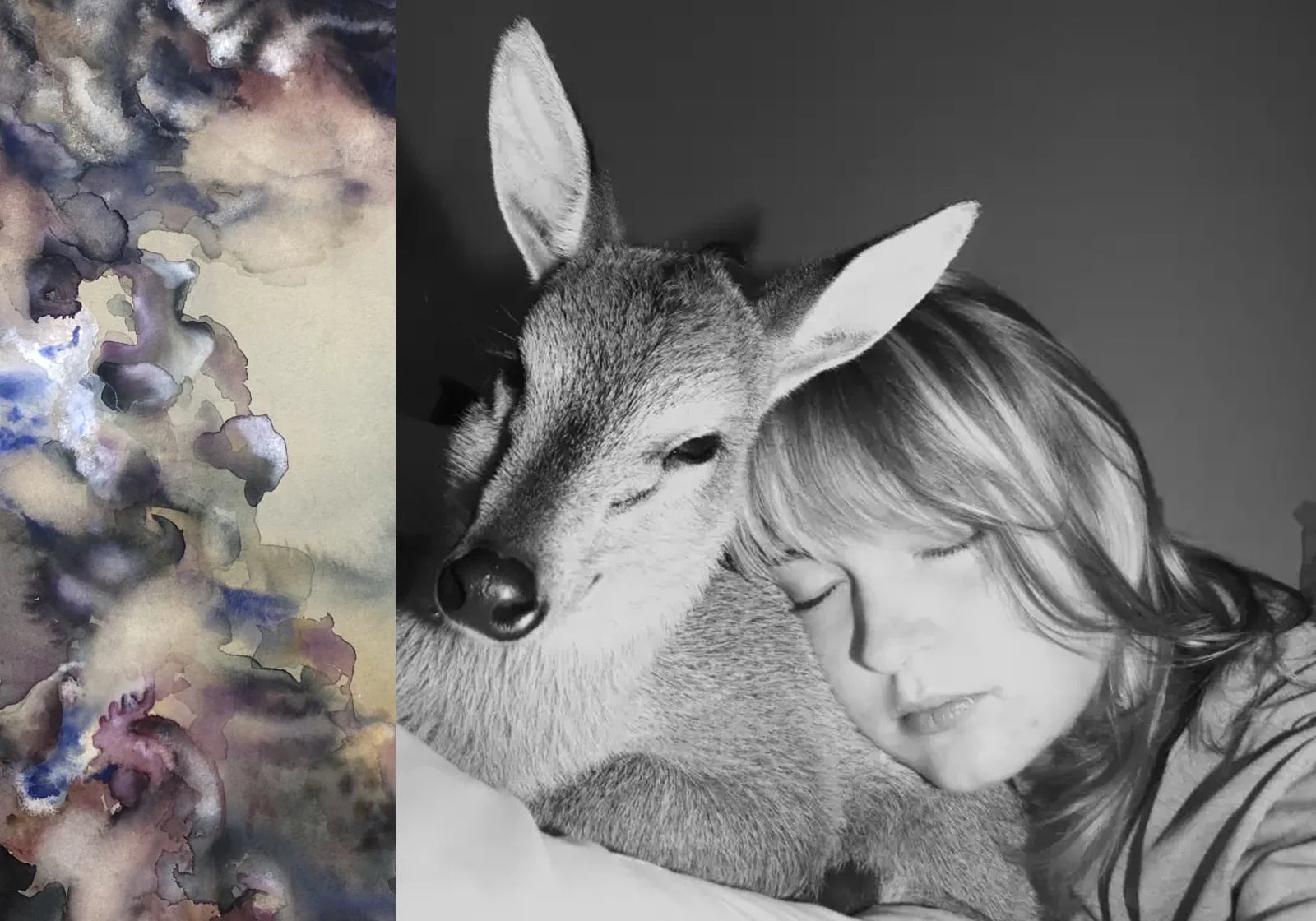 Whitney Jade Halstead