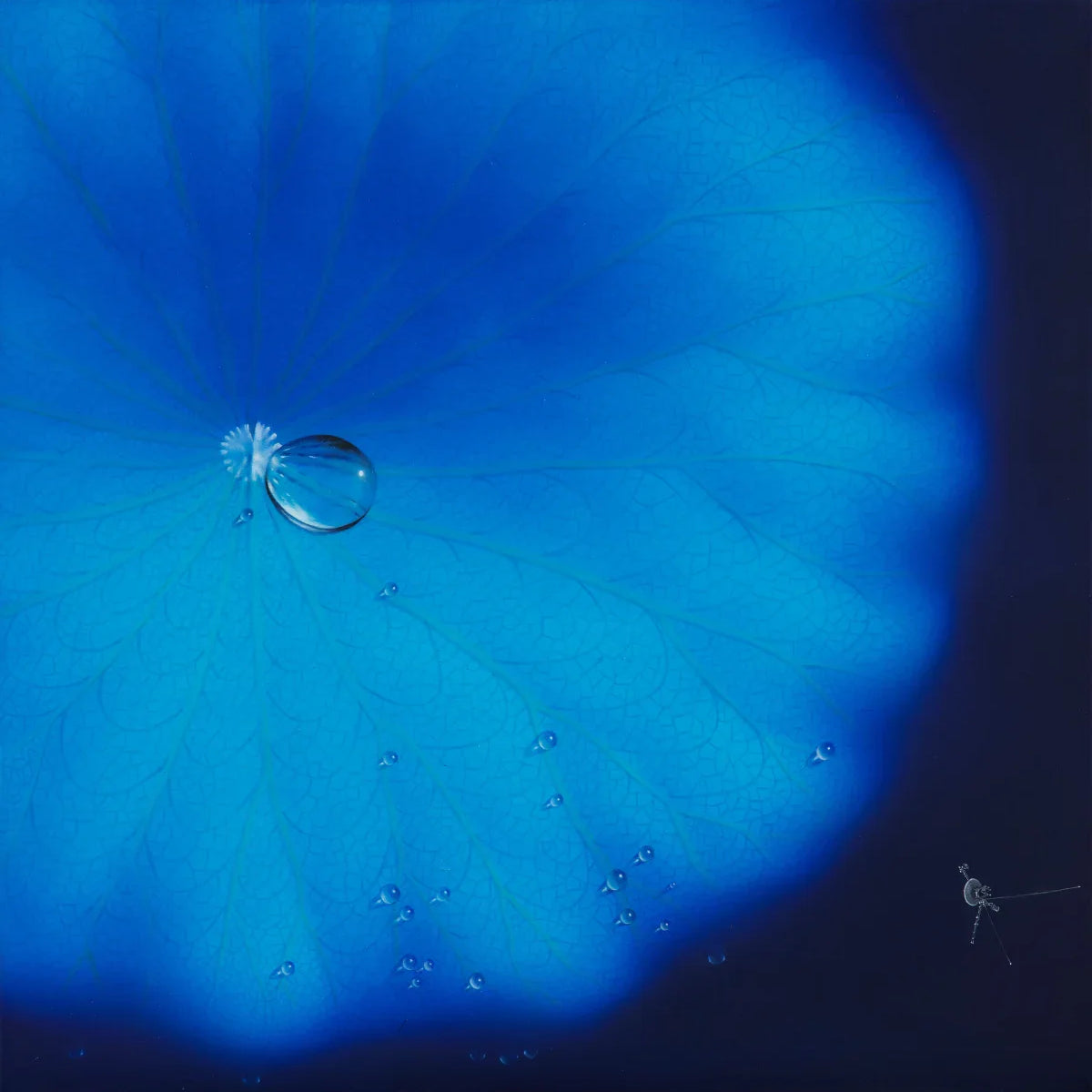 Sang Woon Nam: BLUE Curated by Rok Hee Hwang and Vivienne Roberts Jul 4, 2023 Sep 6, 2023