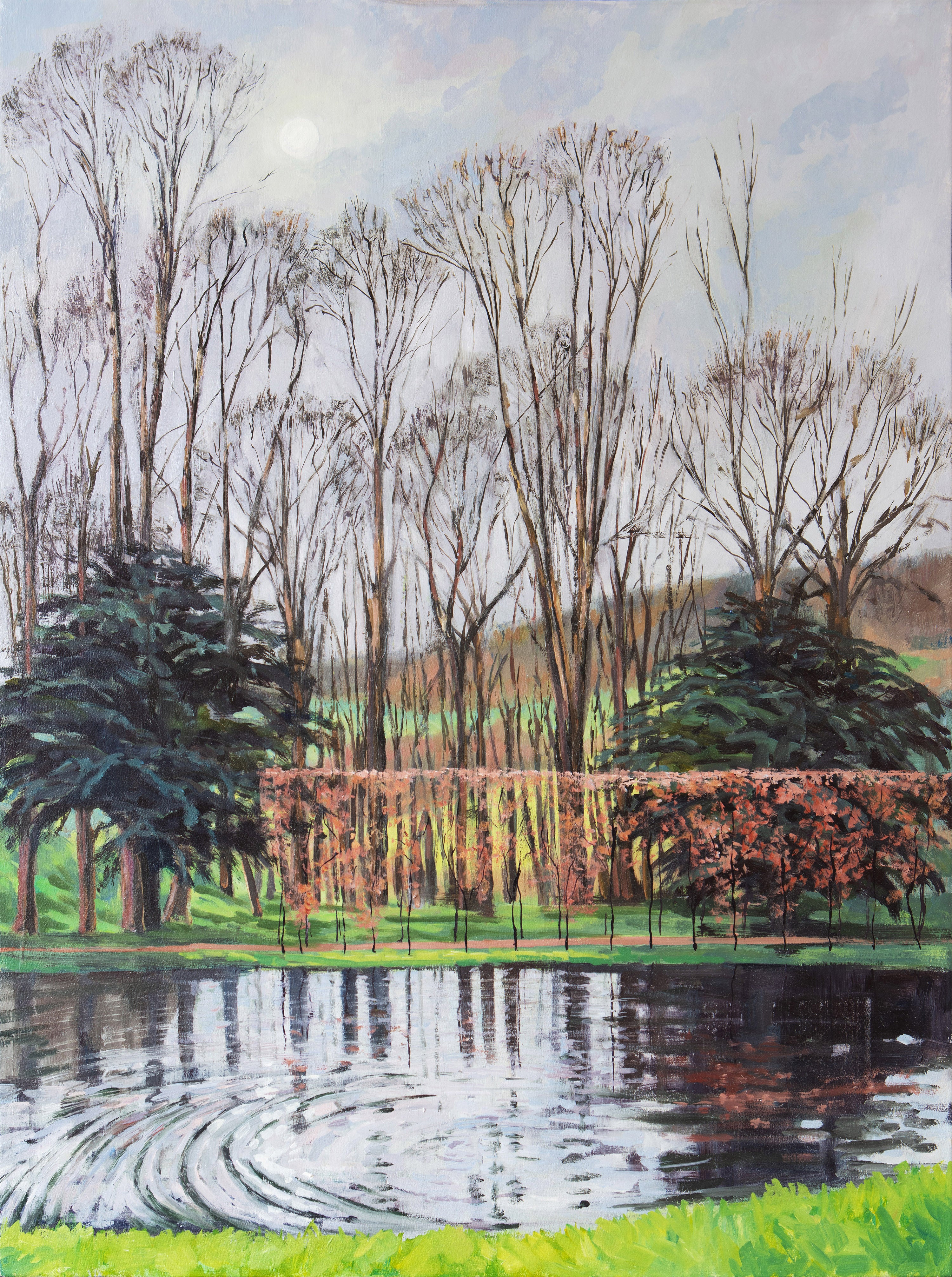 Swan Pond, February Light