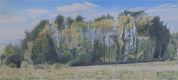 A Copse, Rodborough