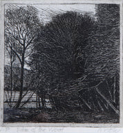 Edge of The Wood