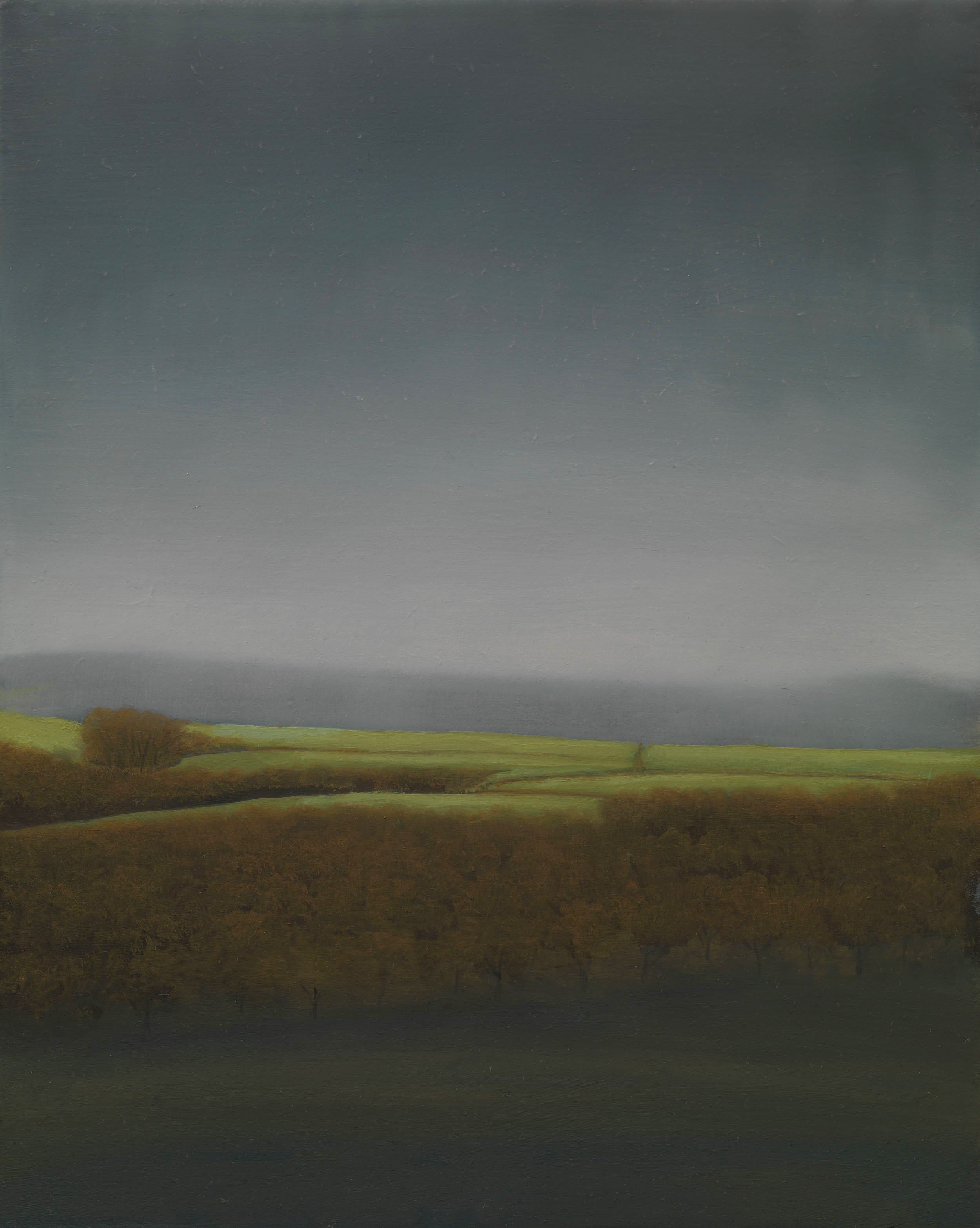 Forest, Field and Moor | V.O.E