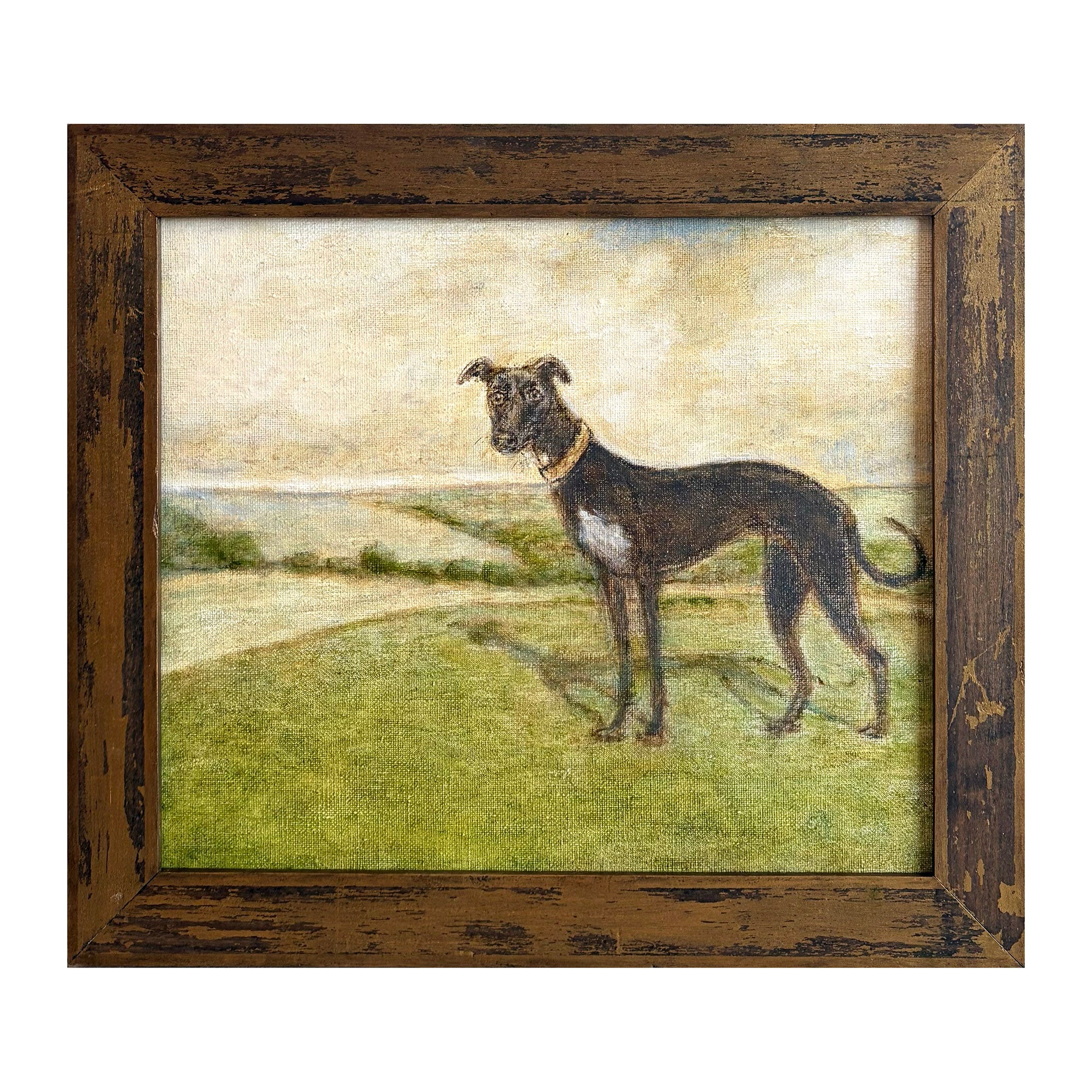 Whippet on Rodborough Common
