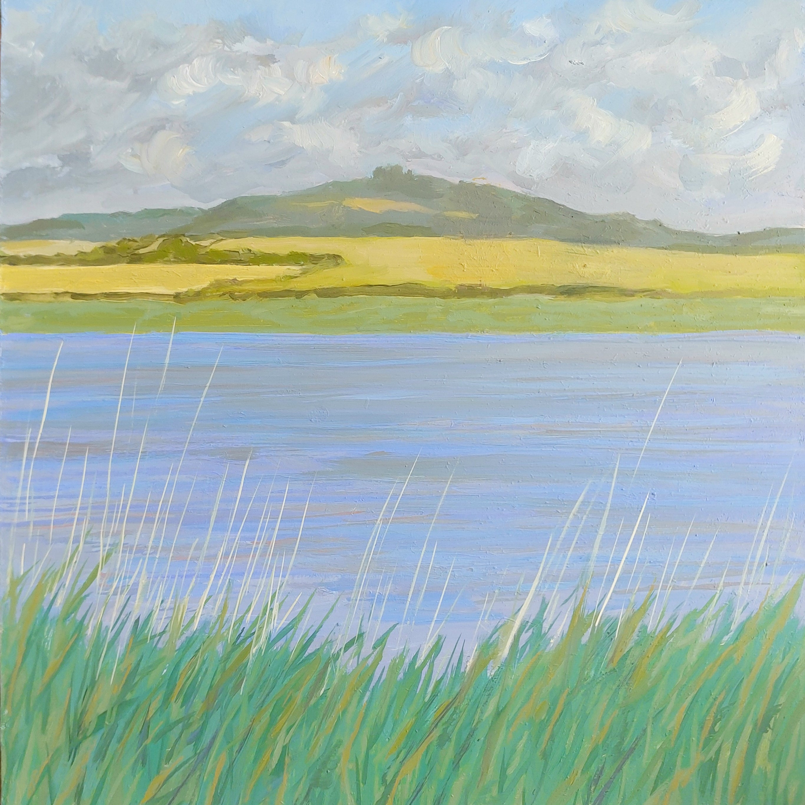 MidsummerSevern.jpg