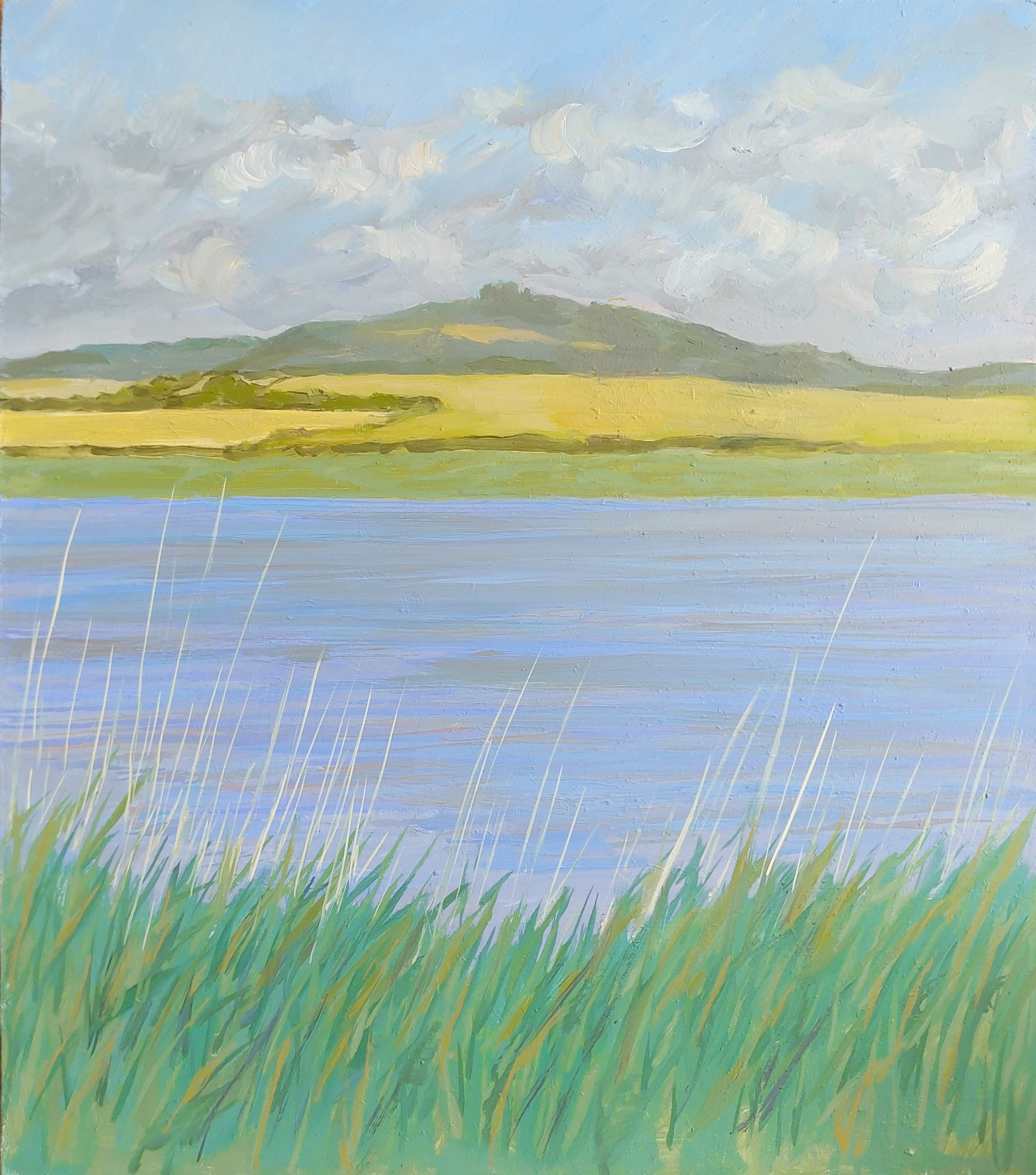 MidsummerSevern.jpg