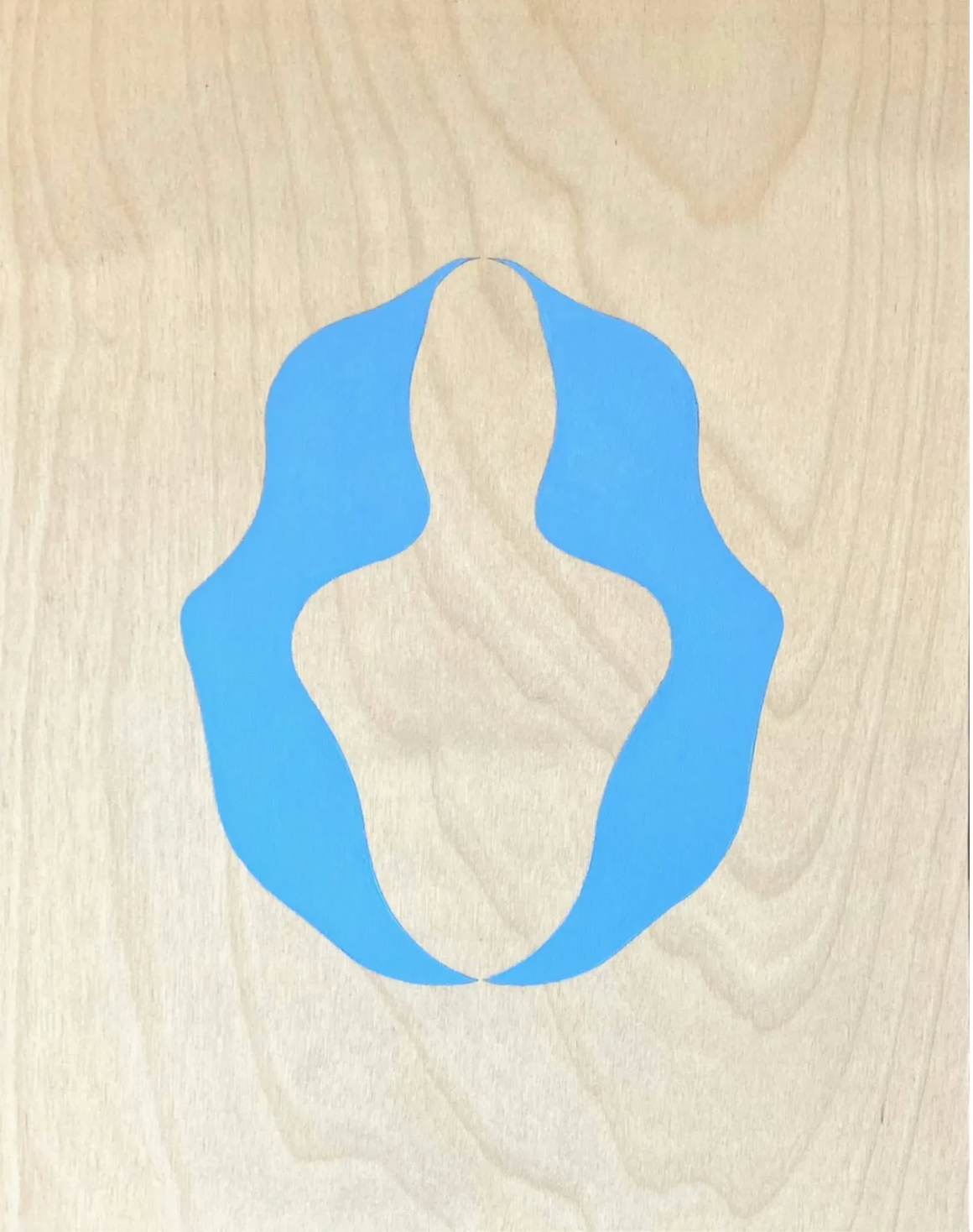 1LC congruent SymM CoP23