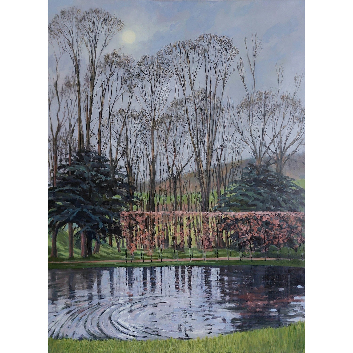 SwanPond-FebruaryLight.jpg
