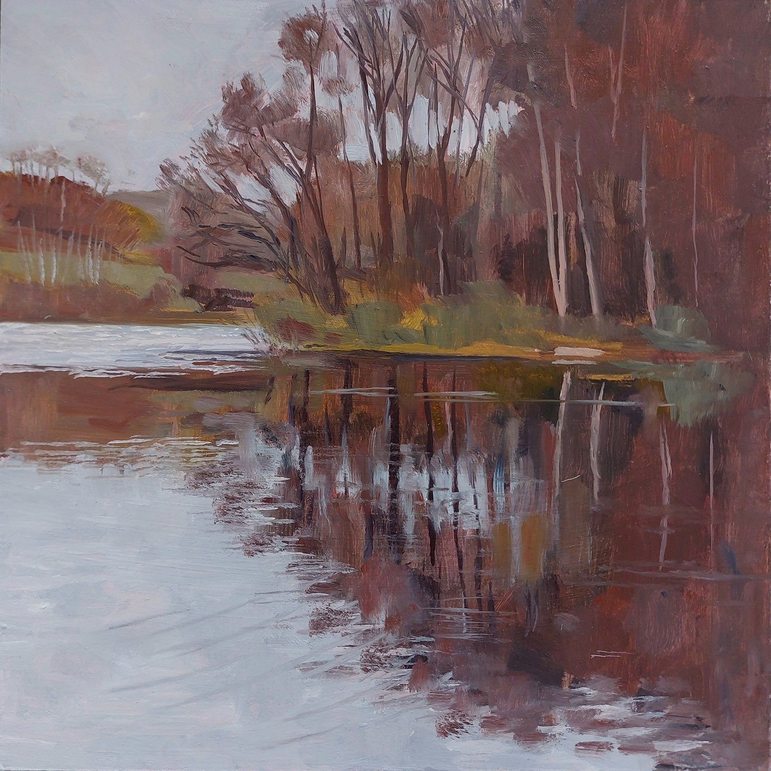 Throxenby Mere, December