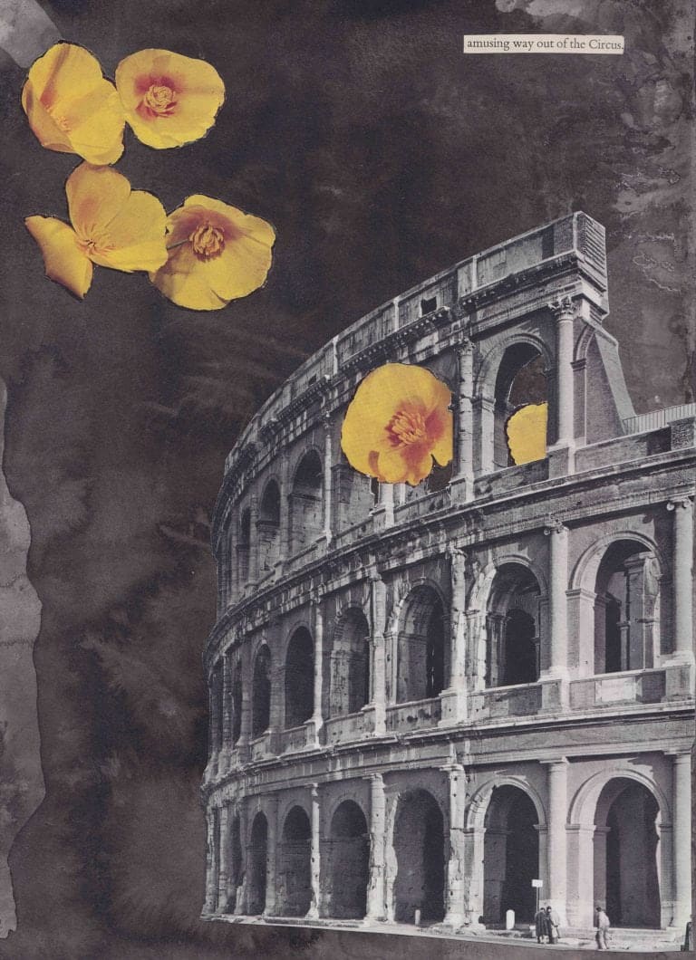 Amusing way out of the circus