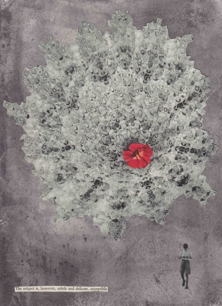 The Subject is, However, Subtle and Delicate, Susceptible