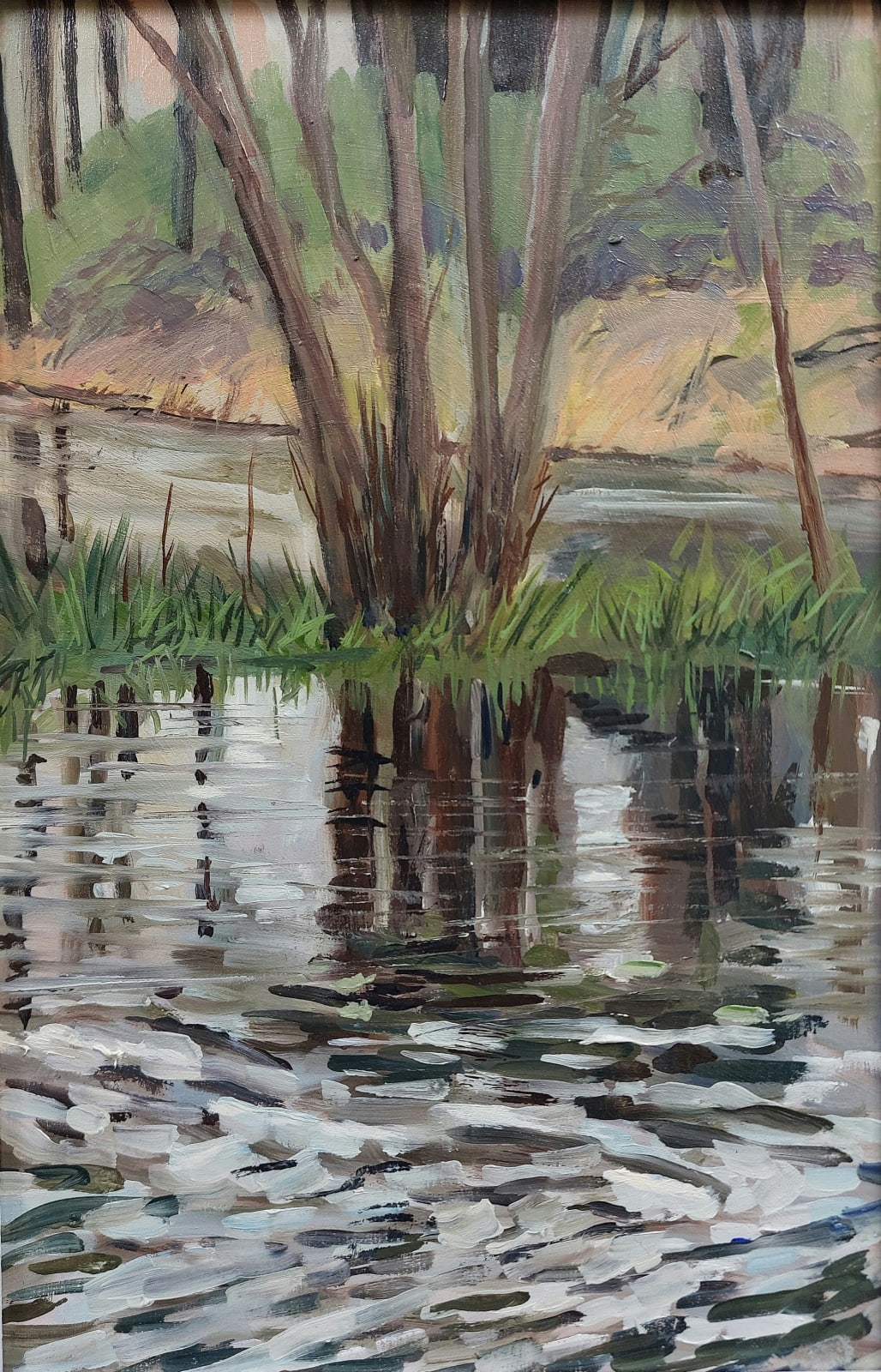 Flood Waters near Bowbridge