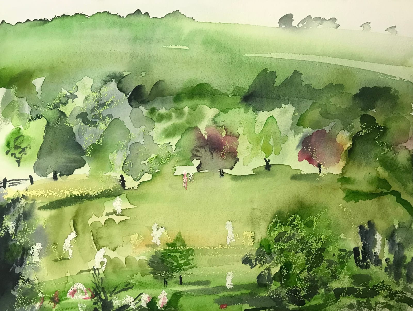 Cricket In The Park, 2022