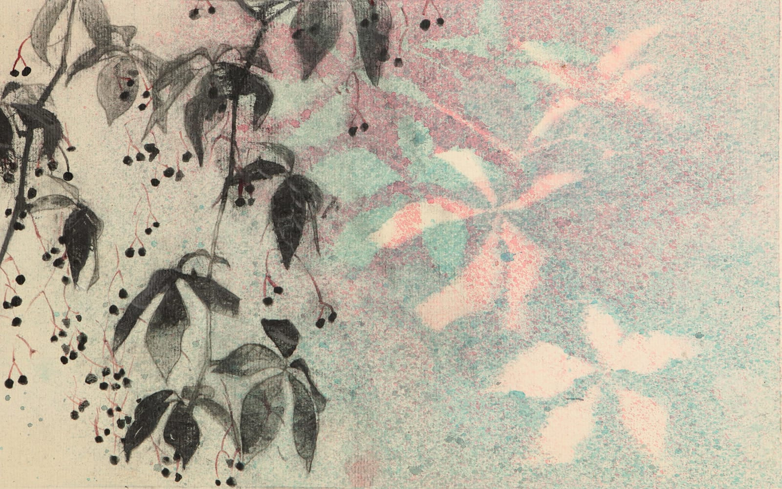 Virginia Creeper Drawing Study