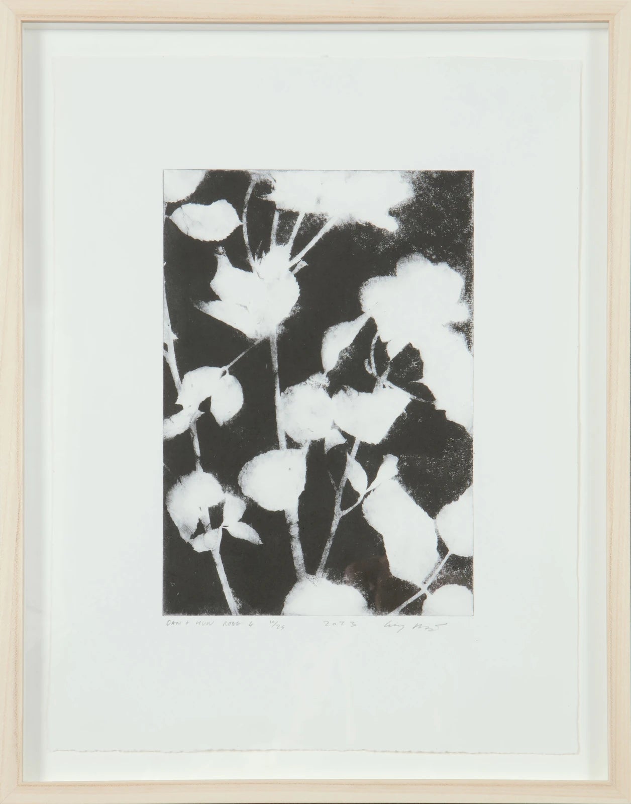 LUCY AUGE | Dan and Huw Rose 4