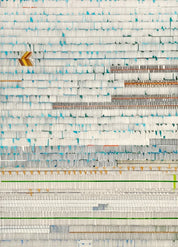 Tranquil Radiance 06