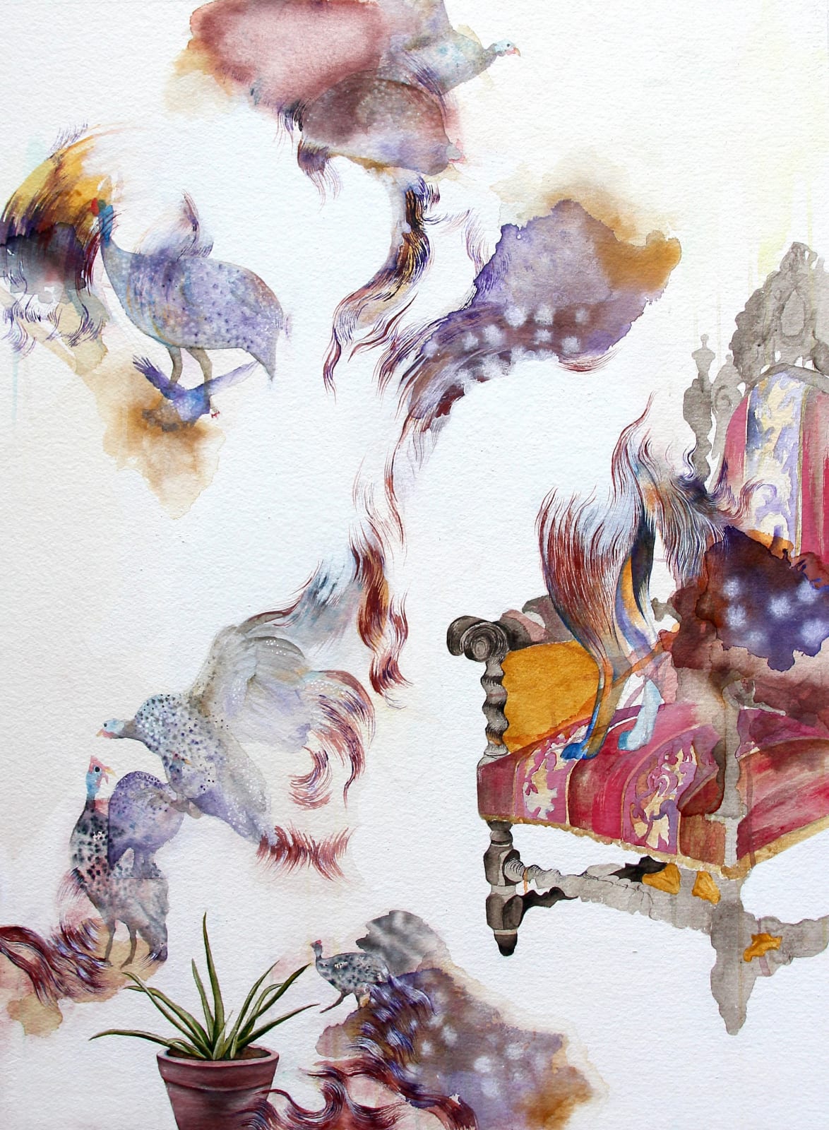 AM I AN AFRICAN CHICKEN, OR AN URBAN FOX?