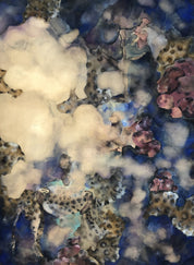 KINGS, WITCHDOCTORS AND VAGABONDS