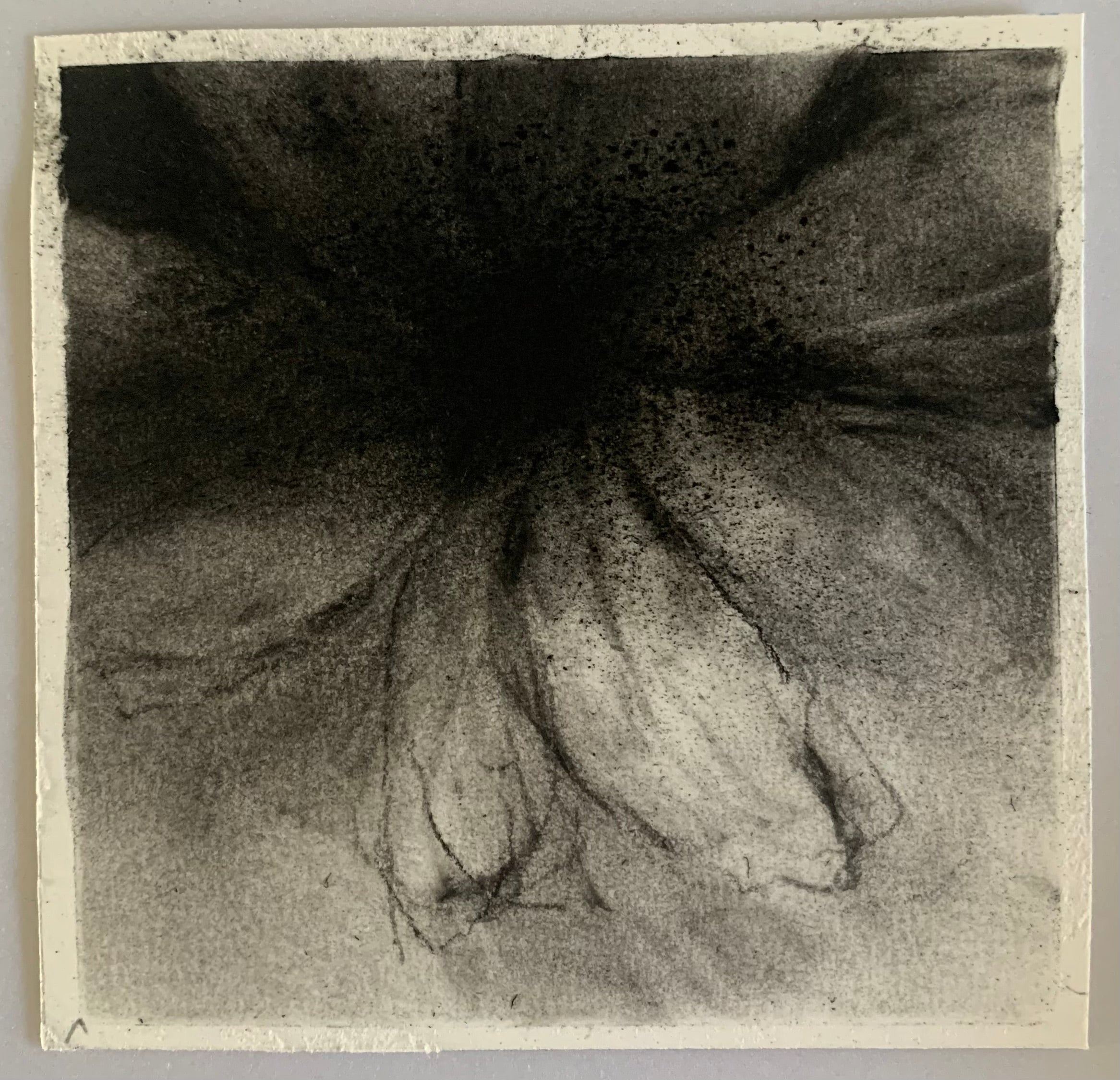 Untitled (image00020) by Mark Stopforth